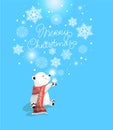 Little cute polar bear with red scarf and gift on blue bacjground with snowflake