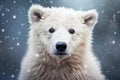 White Bear In The Winter Season Generated by Using AI