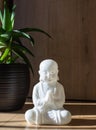 White buddha sitting near aloe plant Royalty Free Stock Photo