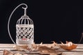 Enchanting Autumn Ambiance: Candlelit Decorative Cage