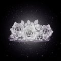 Glamour white Roses black background Royalty Free Stock Photo