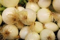 White Beautyful Round Onions at a Market Royalty Free Stock Photo