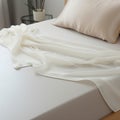 Chiffon Plain Sheet: Organic Sculpting Silk White Blanket With Precisionist Lines
