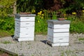 White bee boxes Royalty Free Stock Photo