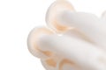 White beech mushrooms or Shimeji mushroom on white background Royalty Free Stock Photo