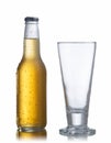 White beer bottle and glass