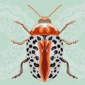 White beetle with black spots