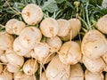 White Beets Royalty Free Stock Photo