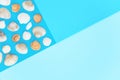 White, beige and orange seashells on the bright color block background. Royalty Free Stock Photo