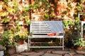 White bench in autumn garden. Autumn outdoor relax. Backyard garden grow decorative green plants and chrysanthemums. Pile of books Royalty Free Stock Photo