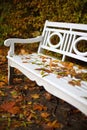White bench in autumn scenery Royalty Free Stock Photo