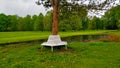 White bench in the fresh green park standing by a pine tree with beautiful meadow and lake in behind Royalty Free Stock Photo