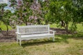 White bench in the lilac garden. Royalty Free Stock Photo