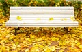White bench in park Royalty Free Stock Photo