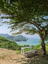 White bench under tree shade, by the cliff and ocean Royalty Free Stock Photo