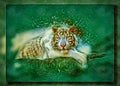 White Bengal tiger. Bokeh, blur. Imitation of a picture. Oil paint