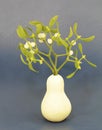White berry mistletoe shown in detail