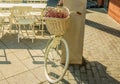 White bicycle with basket full of seasonal flowers