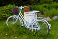 White bicycle or bike as garden decoration