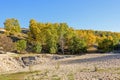 White Birch in the autumn Royalty Free Stock Photo