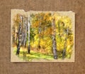 White birch trunks in a golden dress. Russian autumn watercolor