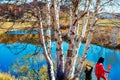 The white birches people and cyan lake Royalty Free Stock Photo