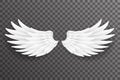 White bird angel fly wings 3d realistic design transparent background vector illustration Royalty Free Stock Photo