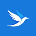 A white bird with blue wings flying against a solid blue background, Bird flying in a clear blue sky, minimalist simple modern