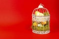White bird cage with Easter eggs in it on a red background Royalty Free Stock Photo