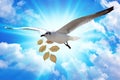 - White Bird carrying a dry leaf branch is flying freely in the blue sky and white clouds background. Royalty Free Stock Photo