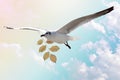 - White Bird carrying a dry leaf branch is flying freely in the blue sky and white clouds background. Royalty Free Stock Photo