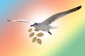 White Bird carrying a dry leaf branch is flying freely in Cloud and sky with a pastel colored background. Royalty Free Stock Photo