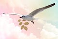 White Bird carrying a dry leaf branch is flying freely in Cloud and sky with a pastel colored background. Royalty Free Stock Photo