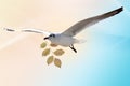 White Bird carrying a dry leaf branch is flying freely in Cloud and sky with a pastel colored background. Royalty Free Stock Photo