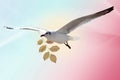 White Bird carrying a dry leaf branch is flying freely in Cloud and sky with a pastel colored background. Royalty Free Stock Photo