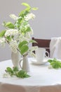 White bird cherry tree blooms in small vases and a cup of coffee on a white table Royalty Free Stock Photo