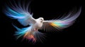 A white bird with colorful feathers flying in the air