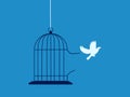 white bird escaped from the cage. Concept of freedom and getting out of comfort zone.
