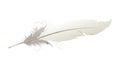 White Bird Feather Light Soft Texture, vector design Generative AI Royalty Free Stock Photo