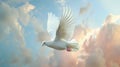 White Bird Flying in Cloudy Blue Sky Royalty Free Stock Photo