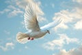 White Bird Flying in Cloudy Blue Sky Royalty Free Stock Photo