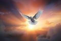 a white bird flying through a cloudy sky with the sun in the background and clouds in the foreground, with the sun setting behind Royalty Free Stock Photo