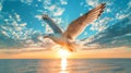 White Bird Flying Over Ocean at Sunset Royalty Free Stock Photo