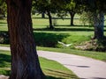 White bird flying over pathway in a park on a sunny day Royalty Free Stock Photo