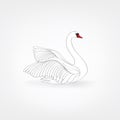 White bird isolated over white background. Swimming swan