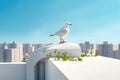 White bird on the roof of the house with green plants on the roof. Blue sky and metropolis in the background. The concept of the Royalty Free Stock Photo