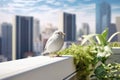 White bird on the roof of a modern house with eco-friendly rooftop gardens. Blue sky and a metropolis with skyscrapers on a Royalty Free Stock Photo