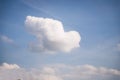 White bird shaped cloud flying in the blue sky. Faith, symbol concept
