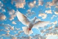 White Bird Soaring in Cloudy Blue Sky Royalty Free Stock Photo