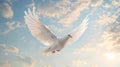 White Bird Flying Through Cloudy Blue Sky Royalty Free Stock Photo